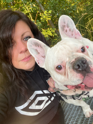 französische Bulldogge sucht Neues Zuhause 