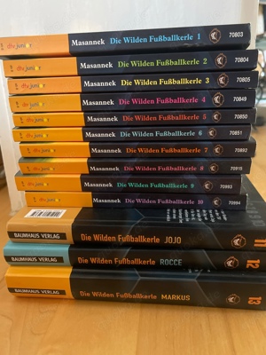 Die wilden Fussballkerle Bücher Teil 1-13