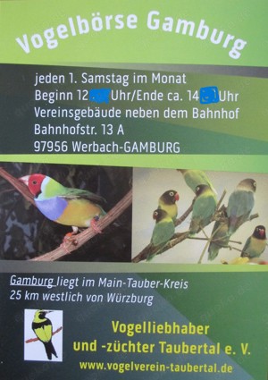 Vogelbörse Gamburg Sa. 2. November 2024