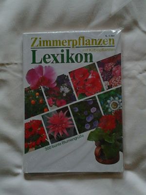 Lexikon Zimmerpflanzen