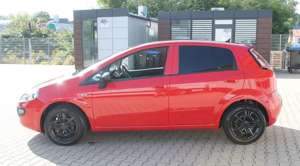 Fiat Punto Evo Bild 5