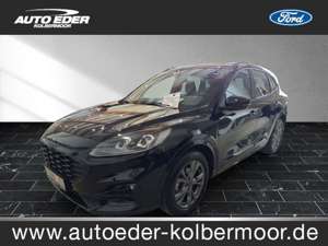 Ford Others Kuga ST-Line leichter Hagelschaden Sportpaket Navi