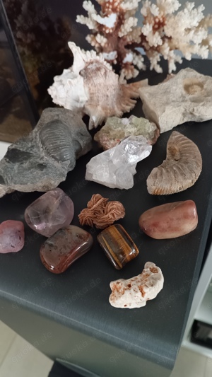 Mineralien Sammlung Kristall Bild 4