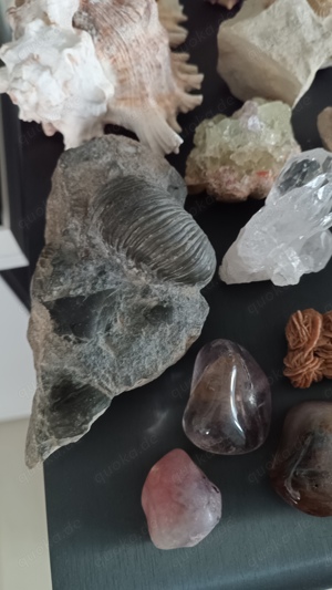 Mineralien Sammlung Kristall Bild 2