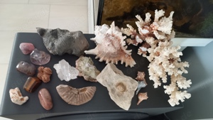 Mineralien Sammlung Kristall