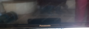 Fernseher, Panasonic, TV, 43,Zoll, Funktionstüchtig 