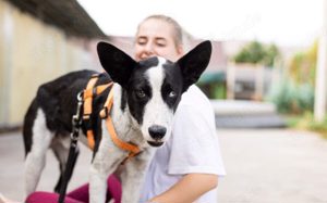 Liebenswerter Batman sucht Familienanschluss