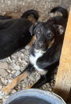Stella - sucht nach der Sonnenseite des Lebens