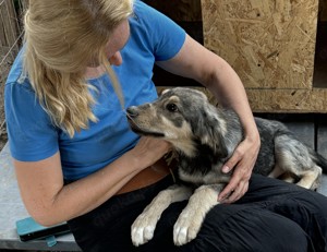 Hope sucht ihre Menschen    Bild 4