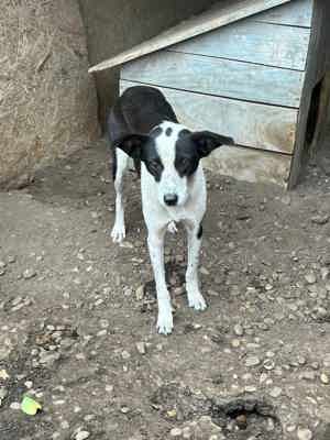 Zelda K ca. 45 cm   ein zartes Wesen