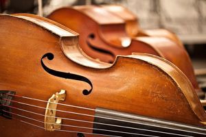 Kontrabass Unterricht in Mannheim und Umgebung