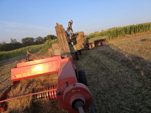 Acker, Feld, Wiese oder Grünland zur Pacht gesucht Bild 7