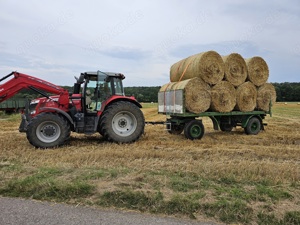 Acker, Feld, Wiese oder Grünland zur Pacht gesucht Bild 3