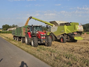 Acker, Feld, Wiese oder Grünland zur Pacht gesucht