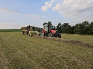 Acker, Feld, Wiese oder Grünland zur Pacht gesucht Bild 9