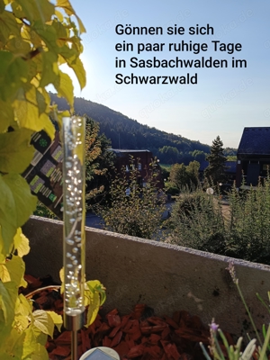 Wochenend Auszeit   im Schwarzwald Bild 7