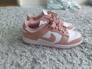 Nike Dunks Low 