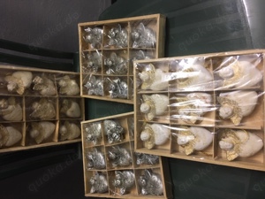 WEIHNACHTS - Dekorations Anhänger *Neu*