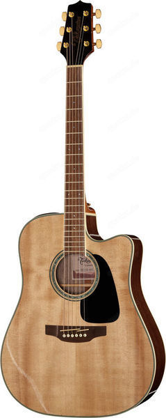 Takamine GD51CE-NAT