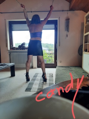 Tv,Dwt für Sexdate Raum Böblingen besuchbar,Escort