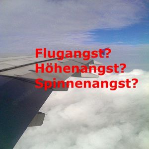 Flugangst Spinnenangst Höhenangst ... Schluss damit (bundesweit) Bild 2