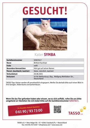 Symba wird vermisst in 91781 Weißenburg 