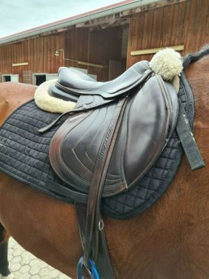 Springsattel CWD 2Gs Mademoiselle braun 17 Zoll Bild 8