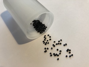 100 Lophophora williamsii Samen inkl. Versand Peyote