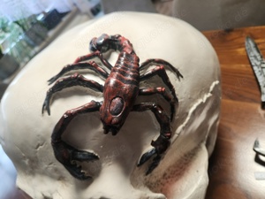 Halloween    Skull mit Sword   