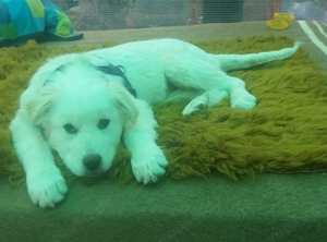 Peggy sucht Dich Bild 2