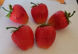 Deko Obst, Tischdeko im Set