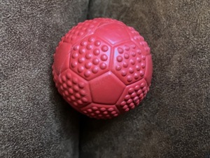 HUNDE Spielzeug & Warnwesten & Frisbee Blinkend-AUGENPFLEGE Bild 5