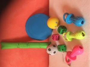 HUNDE-SPIELZEUG *10 Teile +Nur als Konvolut* (STÜCK 0.60 Cent) Bild 2