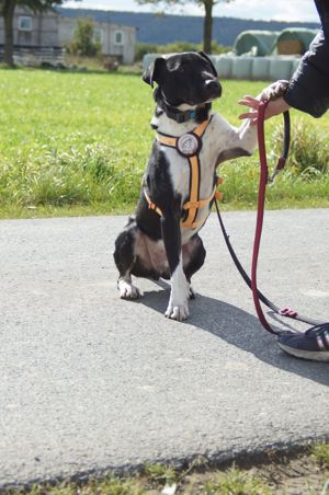 Ikem sucht aktive Menschen Bild 4