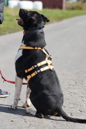 Ikem sucht aktive Menschen Bild 6