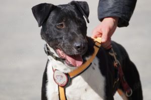 Ikem sucht aktive Menschen Bild 2