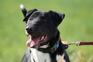 Ikem sucht aktive Menschen Bild 5