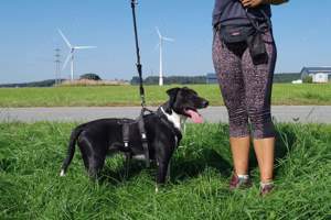 Ikem sucht aktive Menschen Bild 9