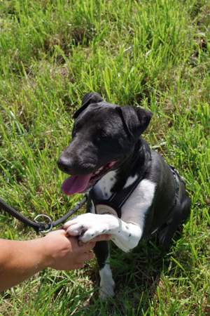 Ikem sucht aktive Menschen Bild 10