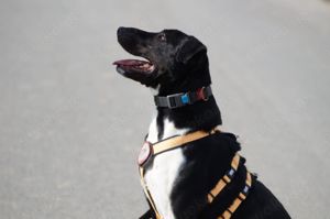 Ikem sucht aktive Menschen Bild 3