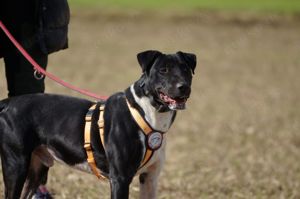 Ikem sucht aktive Menschen Bild 8