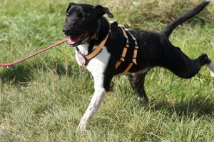 Ikem sucht aktive Menschen Bild 7