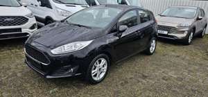 Ford Fiesta 5-Türer 1.5 TDCi Celebration Navi PPS Winter-Paket