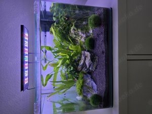 Aquarium Aquascape 37 Liter