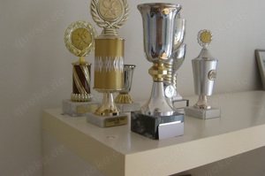 9 Tennispokale , stehen nur auf dem Regal,TOP Zustand. 4. Pokal v. links gesehen ist verkauft BILD  Bild 3