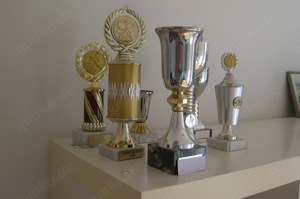 9 Tennispokale , stehen nur auf dem Regal,TOP Zustand. 4. Pokal v. links gesehen ist verkauft BILD  Bild 5