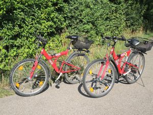 Kult-Fahrrad Coca-Cola aus den 80-ern