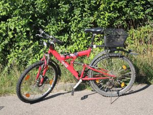 Kult-Fahrrad Coca-Cola aus den 80-ern Bild 4