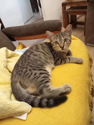 Lilly, liebevoll und lebhaft (OLC)