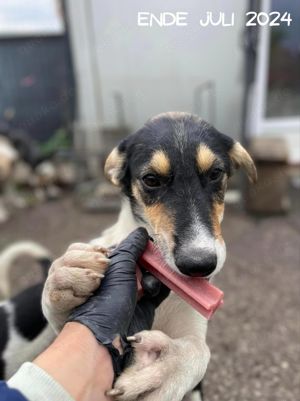 Hübsche Mia wartet aufs happyend! Bild 5